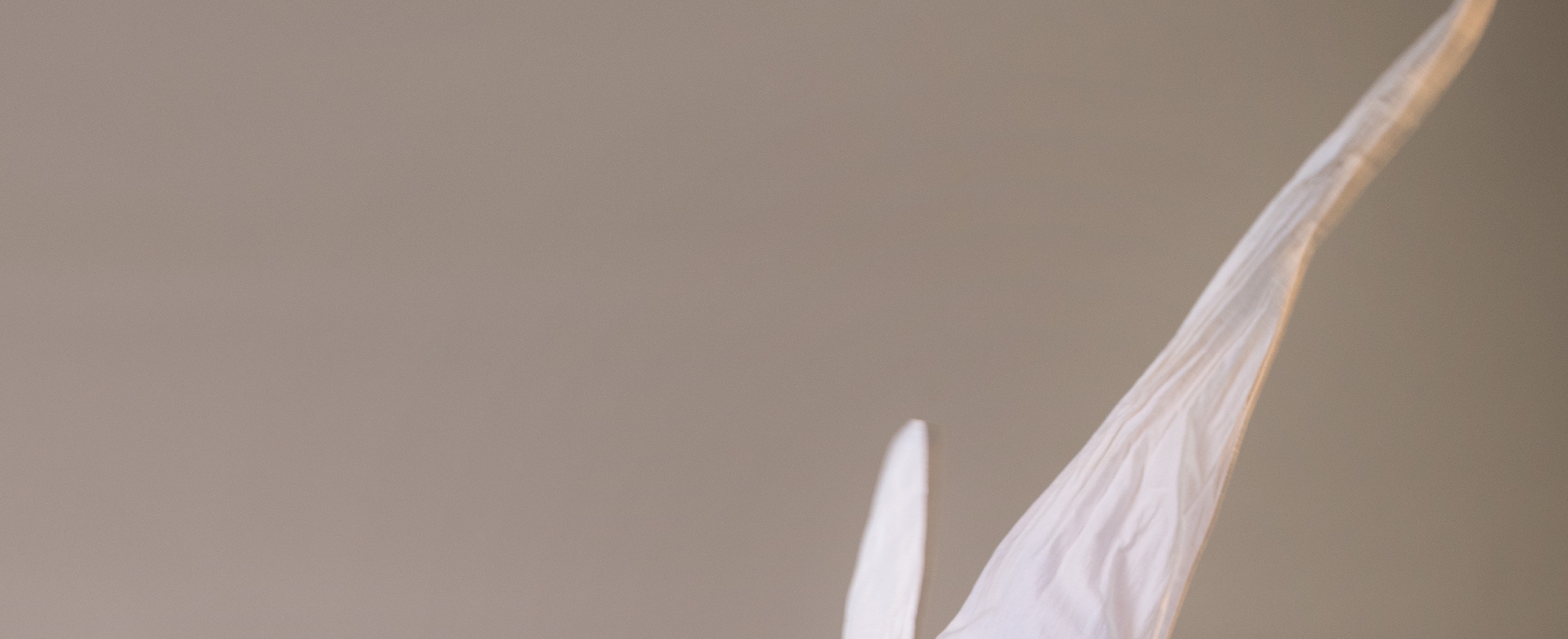 header