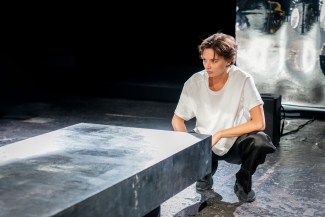Swallow, Luzerner Theater, Foto: Ingo Hoehn