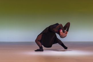 Swan, Luzerner Theater, Phoebe Jewitt, Foto: Ingo Hoehn