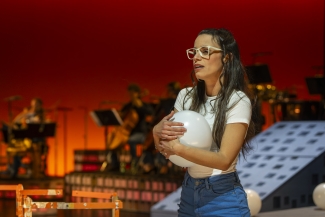 Lost Violet, Luzerner Theater