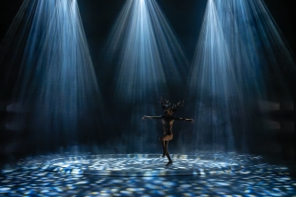 HOPE, Oh Deer, Luzerner Theater