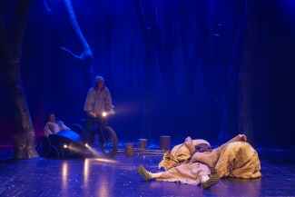 Robin Hood, Luzerner Theater, Foto: Ingo Hoehn